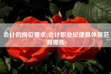 会计的岗位要求(会计职业纪律具体规范有哪些)