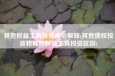 其他权益工具投资通俗解释(其他债权投资和其他权益工具投资区别)