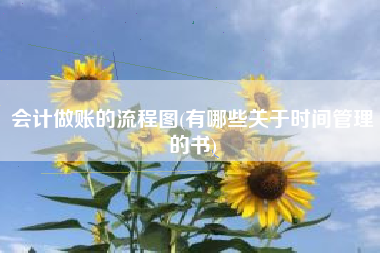 会计做账的流程图(有哪些关于时间管理的书)