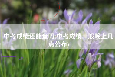 中考成绩还能查吗(中考成绩一般晚上几点公布)