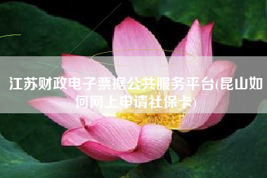 江苏财政电子票据公共服务平台(昆山如何网上申请社保卡)