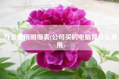 办公费用明细表(公司买的电脑算什么费用)