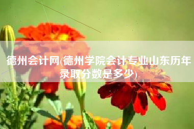 德州会计网(德州学院会计专业山东历年录取分数是多少)