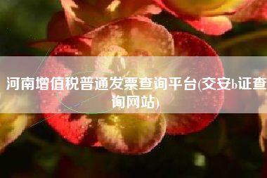 河南增值税普通发票查询平台(交安b证查询网站)