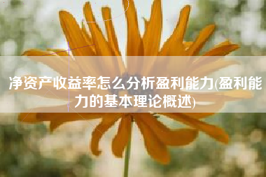 净资产收益率怎么分析盈利能力(盈利能力的基本理论概述)