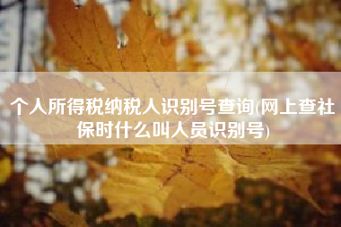 个人所得税纳税人识别号查询(网上查社保时什么叫人员识别号)