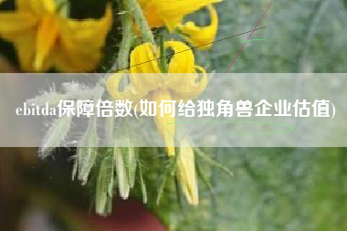 ebitda保障倍数(如何给独角兽企业估值)