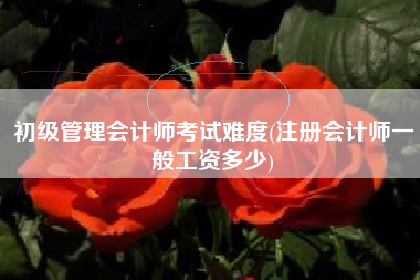 初级管理会计师考试难度(注册会计师一般工资多少)