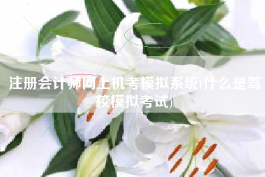 注册会计师网上机考模拟系统(什么是驾校模拟考试)