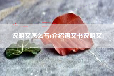 说明文怎么写(介绍语文书说明文)