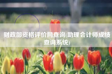 财政部资格评价网查询(助理会计师成绩查询系统)