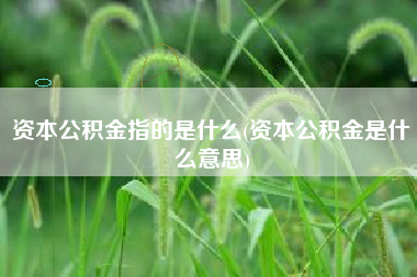 资本公积金指的是什么(资本公积金是什么意思)