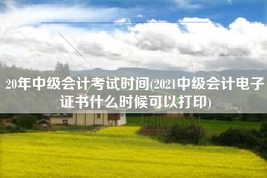 20年中级会计考试时间(2021中级会计电子证书什么时候可以打印)