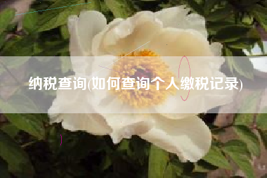 纳税查询(如何查询个人缴税记录)