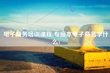 电子商务培训课程(专接本电子商务学什么)