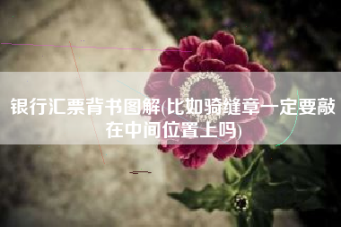 银行汇票背书图解(比如骑缝章一定要敲在中间位置上吗)