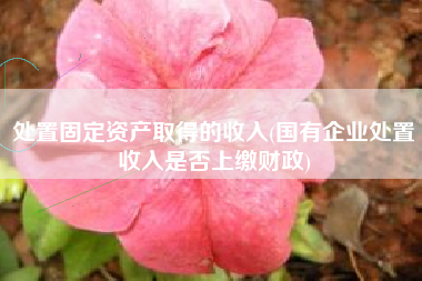 处置固定资产取得的收入(国有企业处置收入是否上缴财政)