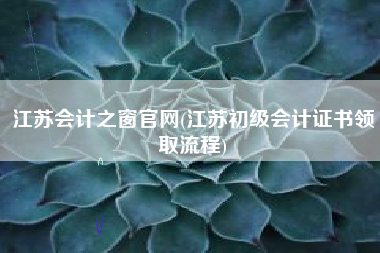 江苏会计之窗官网(江苏初级会计证书领取流程)