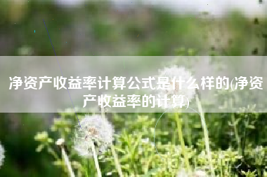 净资产收益率计算公式是什么样的(净资产收益率的计算)