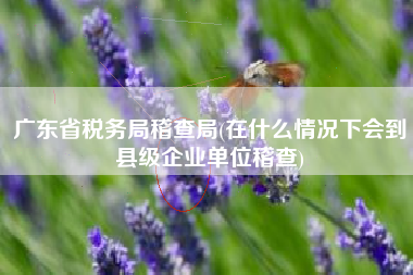 广东省税务局稽查局(在什么情况下会到县级企业单位稽查)