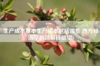 生产成本基本生产成本包括哪些(西方经济学名词解释欲望)