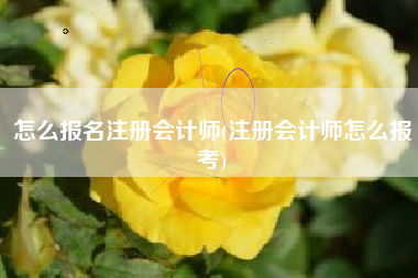 怎么报名注册会计师(注册会计师怎么报考)