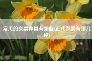 常见的发票种类有哪些(正式发票有哪几种)
