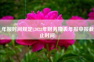 年报时间规定(2022年财务报表年报申报截止时间)