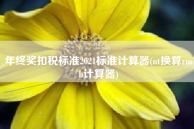年终奖扣税标准2021标准计算器(nt换算rmb计算器)