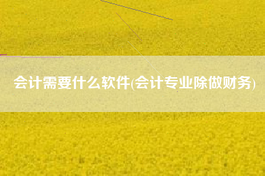 会计需要什么软件(会计专业除做财务)