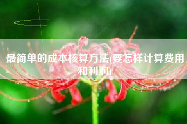 最简单的成本核算方法(要怎样计算费用和利润)