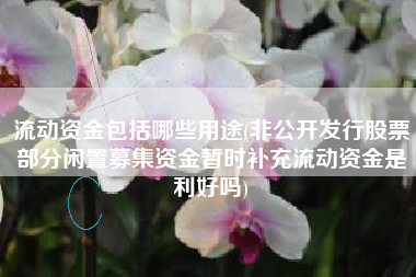 详细阅读:流动资金包括哪些用途(非公开发行股票部分闲置募集资金暂时补充流动资金是利好吗) 流动资金包括哪些用途(非公开发行股票部分闲置募集资金暂时补充流动资金是利好吗)
