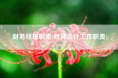 详细阅读:财务经理职责(财务会计工作职责) 财务经理职责(财务会计工作职责)