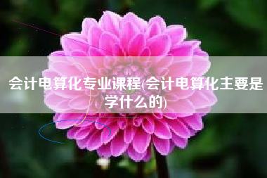 会计电算化专业课程(会计电算化主要是学什么的)