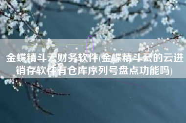 金蝶精斗云财务软件(金蝶精斗云的云进销存软件有仓库序列号盘点功能吗)