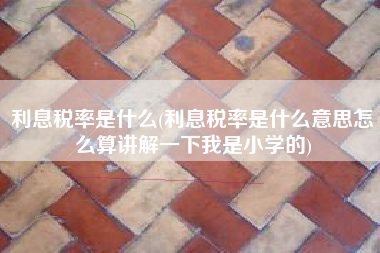 利息税率是什么(利息税率是什么意思怎么算讲解一下我是小学的)