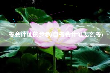 考会计证的步骤(自考会计证怎么考)