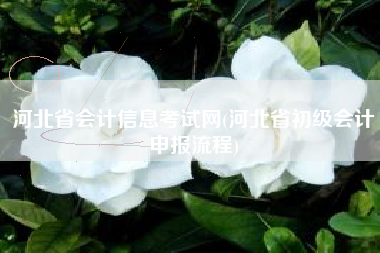 河北省会计信息考试网(河北省初级会计申报流程)