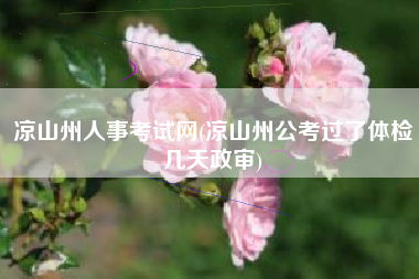 凉山州人事考试网(凉山州公考过了体检几天政审)