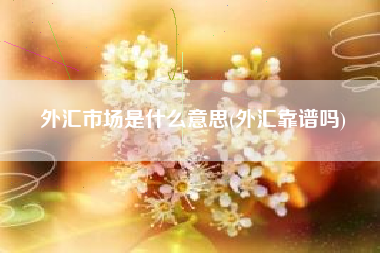 详细阅读:外汇市场是什么意思(外汇靠谱吗) 外汇市场是什么意思(外汇靠谱吗)