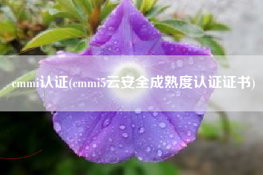 cmmi认证(cmmi5云安全成熟度认证证书)