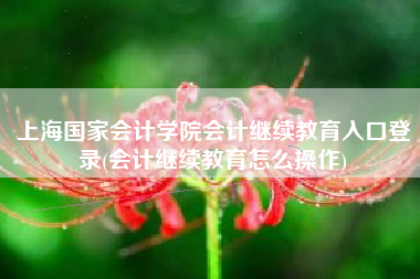 上海国家会计学院会计继续教育入口登录(会计继续教育怎么操作)