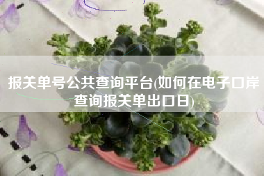 报关单号公共查询平台(如何在电子口岸查询报关单出口日)