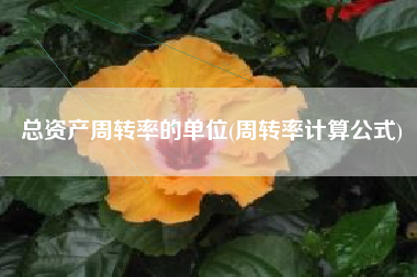 总资产周转率的单位(周转率计算公式)