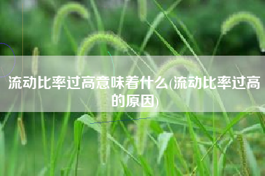 流动比率过高意味着什么(流动比率过高的原因)