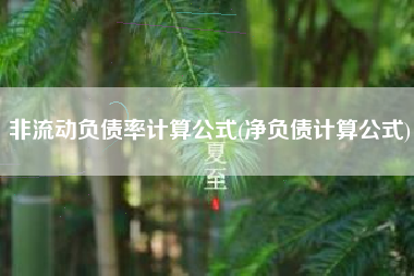 非流动负债率计算公式(净负债计算公式)