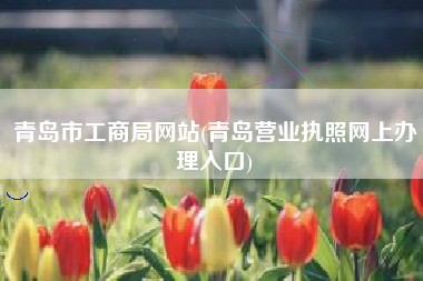 青岛市工商局网站(青岛营业执照网上办理入口)