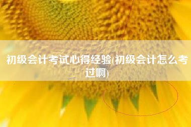 初级会计考试心得经验(初级会计怎么考过啊)
