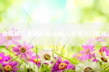 金蝶软件视频教程(金蝶erp系统入门教程)