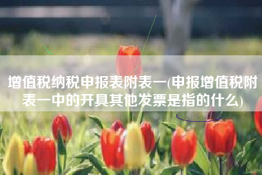 增值税纳税申报表附表一(申报增值税附表一中的开具其他发票是指的什么)